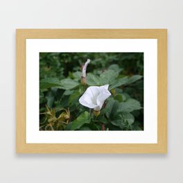 White Flower Framed Art Print