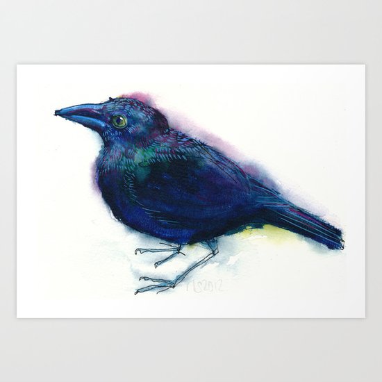 grackle Art Print