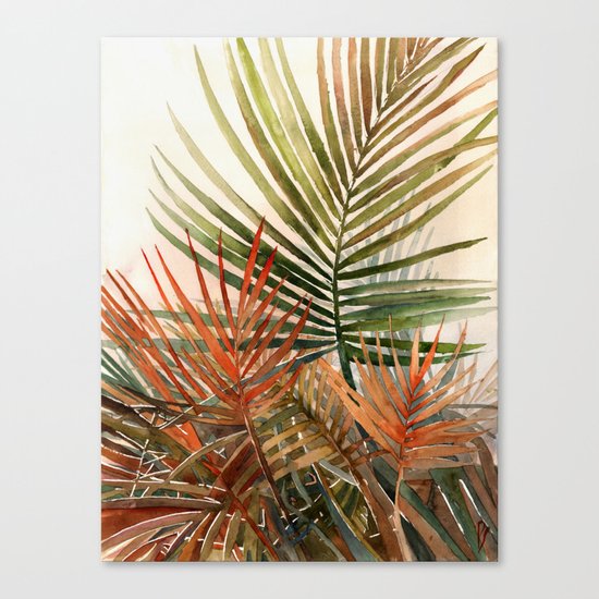 Arecaceae - household jungle #1 Canvas Print