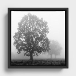 Trees on a Misty Morning Framed Canvas