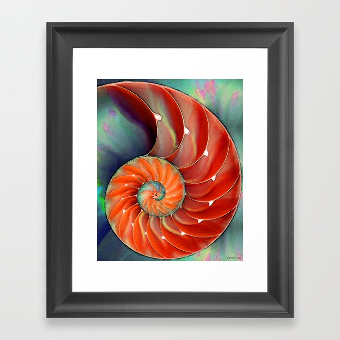 Nautilus Shell - Nature's Perfection by Sharon Cummings Framed Art Print