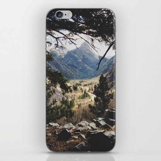 San Juan Forest iPhone & iPod Skin
