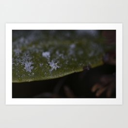 Snowflake On a leaf Art Print