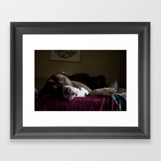 Dog Framed Art Print