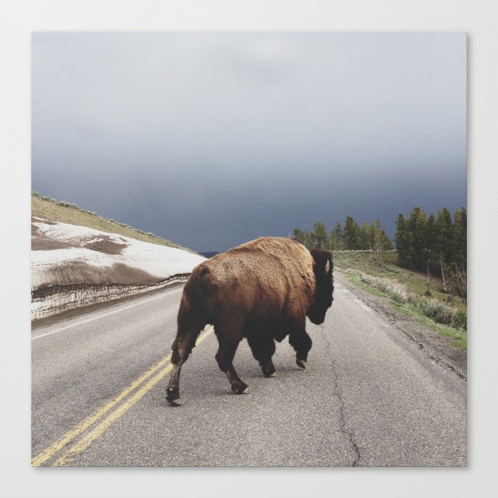 Canvas Print