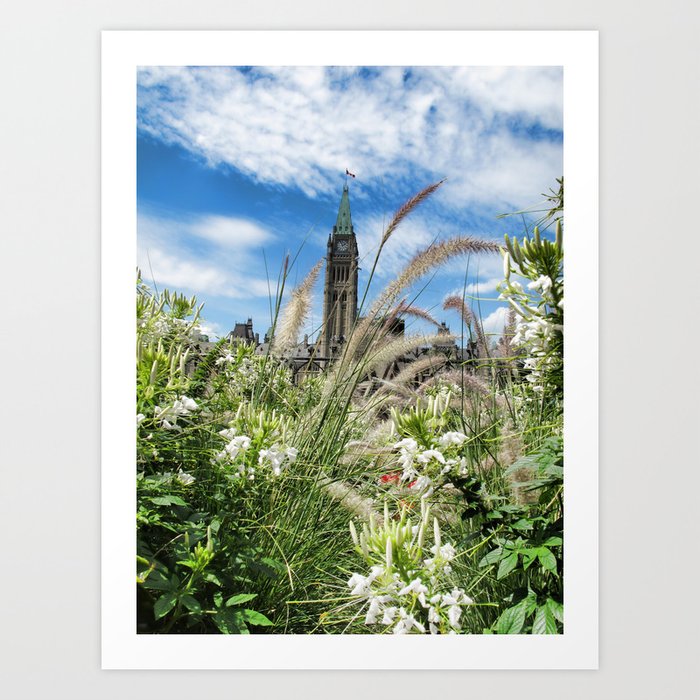 Decorative Fountain Grass & White Flowers in front of the Peace Tower, Parliament Hill, Ottawa, CA Art Print