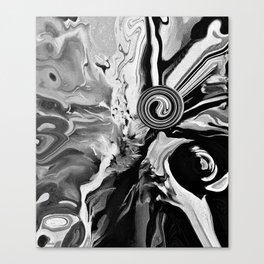 Shades of Black and White Canvas Print