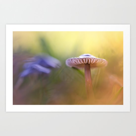 Mystic Mushroom.... Art Print