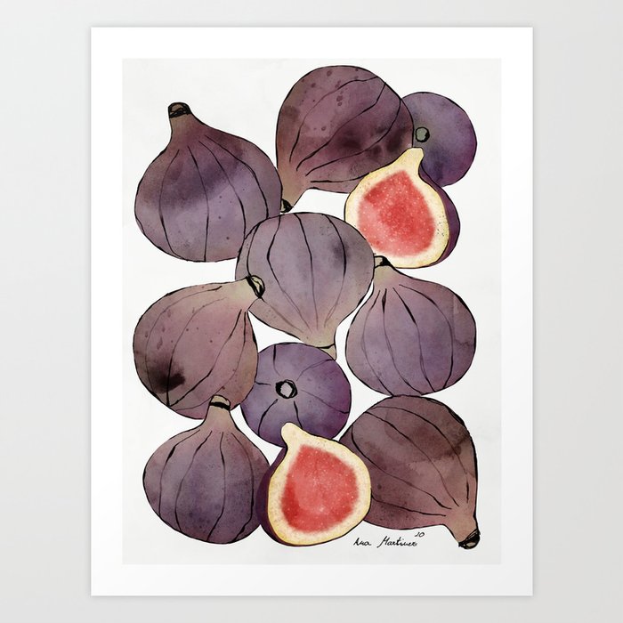 figs still life botanical watercolor Art Print
