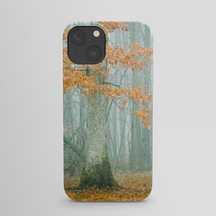 Autumn Woods iPhone Case