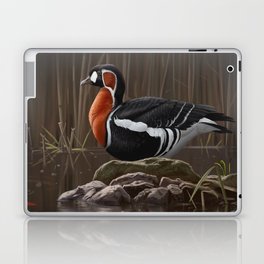 Red-breasted Goose bird Laptop & iPad Skin