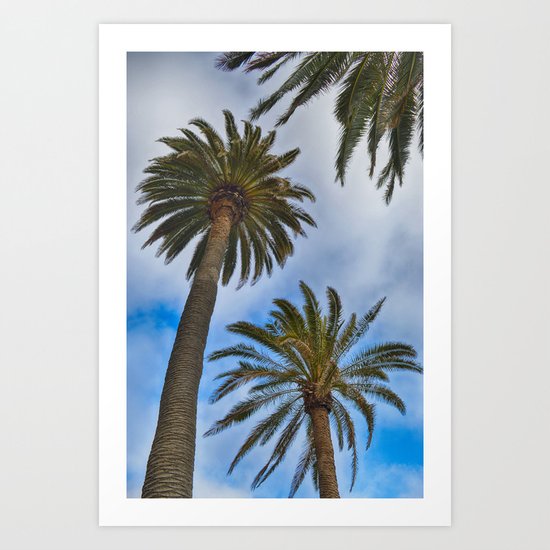 Palms Art Print