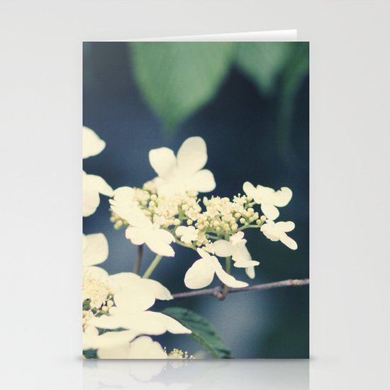 floral Stationery Cards