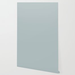 Airy Light Pastel Blue Gray / Grey Solid Color Pairs To Sherwin Williams Niebla Azul SW 9137 Wallpaper