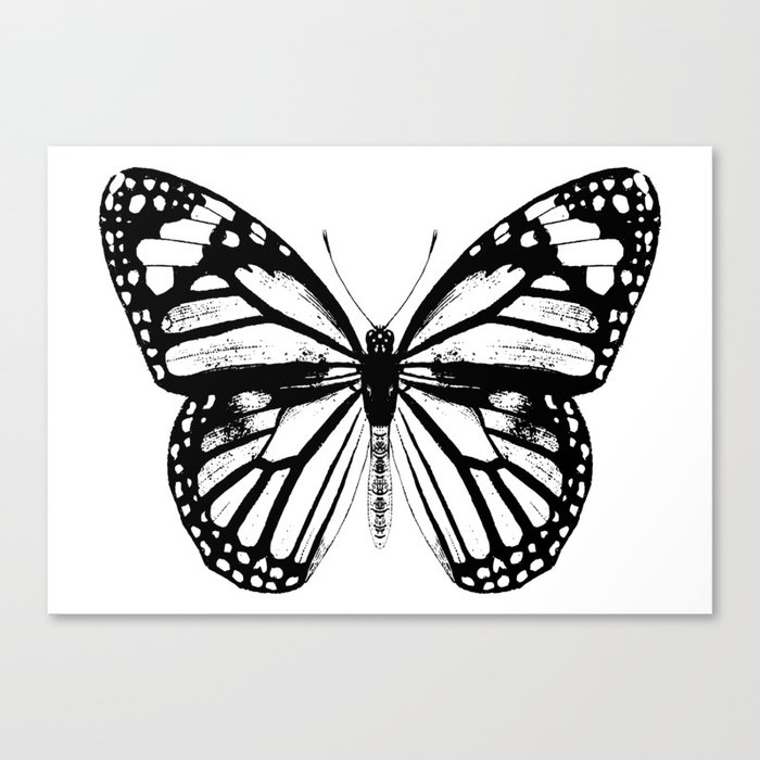 Monarch Butterfly | Vintage Butterfly | Black and White | Canvas Print