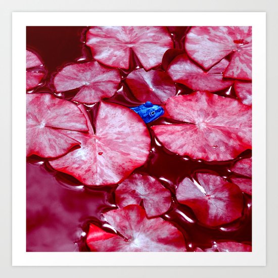 blue frog VI Art Print