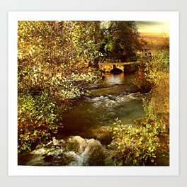 The Stream Art Print | Photo, Fast, Color, Tumbling, Undergorge, Stream, Water, Throughcheddar, Tomendiphills, Stonebridge 
