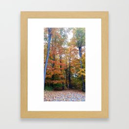 Autumn landscapes  Framed Art Print