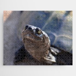 South Africa Photography - Beautiful Tortoise Jigsaw Puzzle