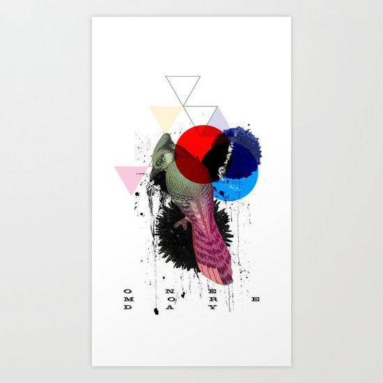 bird colours Art Print