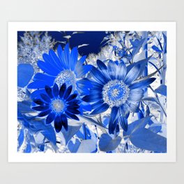 3 Blue Sunflowers Art Print
