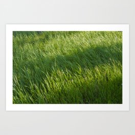 Waves of Grass Art Print | Lawn, Meadow, Country, Land, Lightbeams, Summer, Fresh, Background, Grass, Growth 