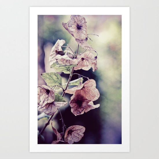 Feather Art Print