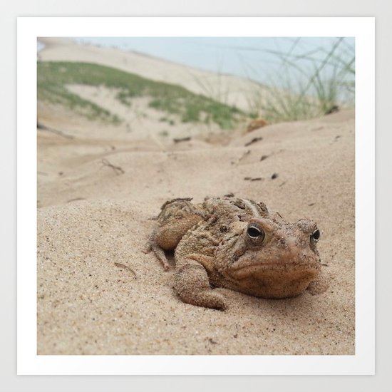 Grumpy Frog Art Print