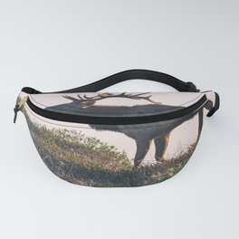 Elk Bull Fanny Pack