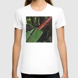Leaf-Wrapped Bamboo in Tropical Forest: Fine Art Photo T-shirt