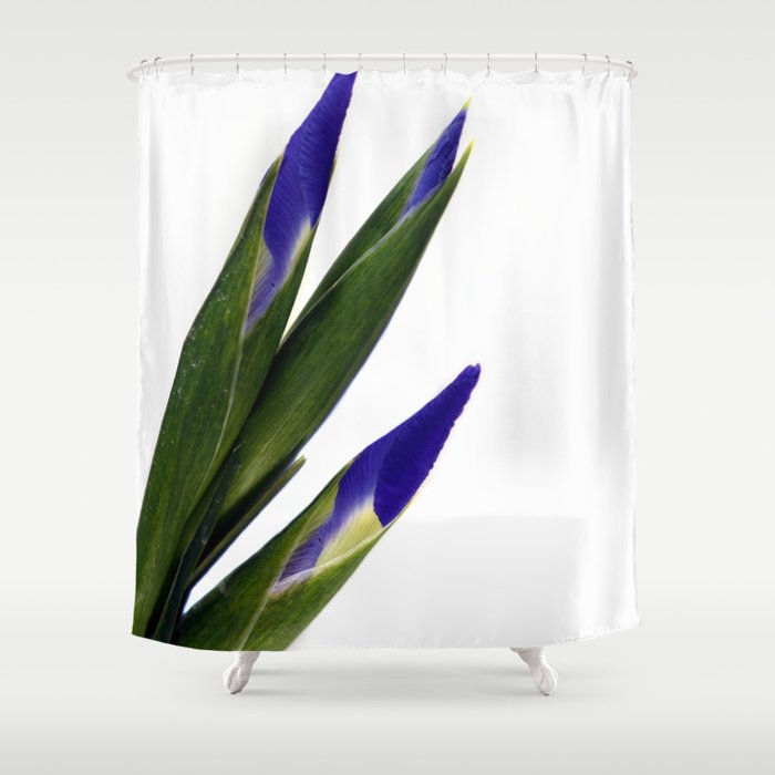 Iris Shower Curtain