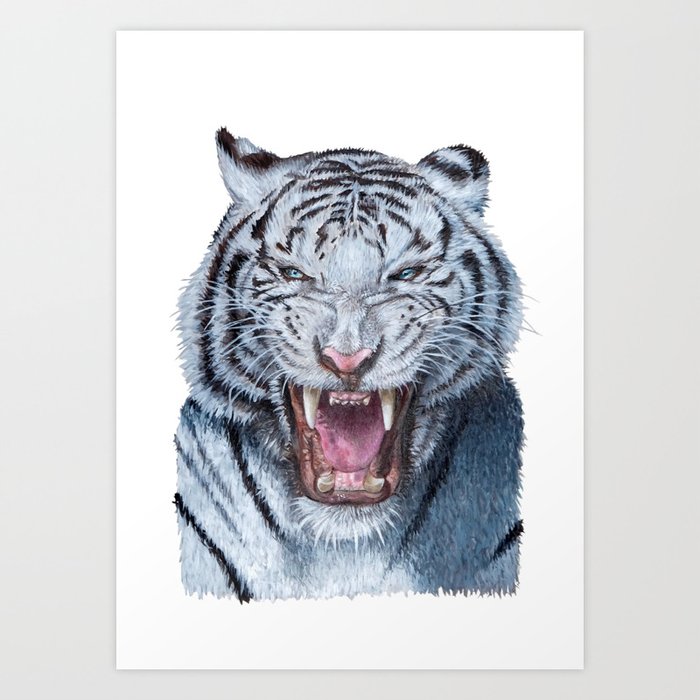 White tiger Art Print