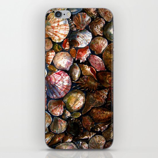 Shell 1 iPhone & iPod Skin