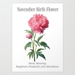 November birth month art print, Peony Art Print