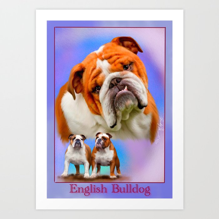 English Bulldog With Border Art Print By Beckyspetportraits Society6 English Bulldog With Border Art Print