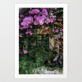 Window coverd by flowers in Croatia | Fine art print by Anneloes van Acht Art Print