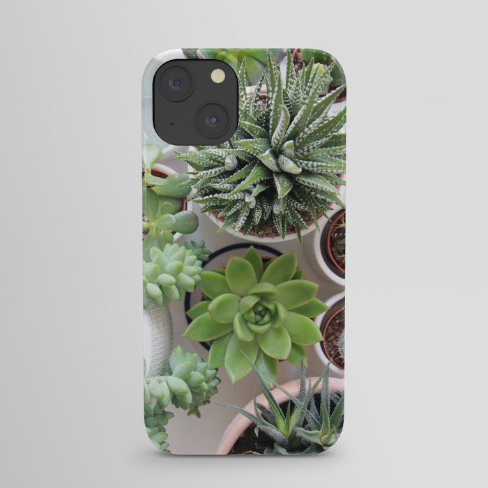 Botanical Plant Succulents iPhone Case