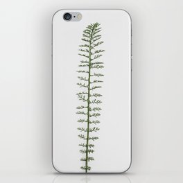Yarrow on a white background - minimalist wall art for home decor  iPhone Skin