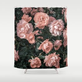 Pastel pink roses growing in the garden in soft light Shower Curtain