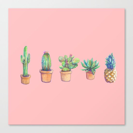 evolution cactus to pineapple pink version Canvas Print