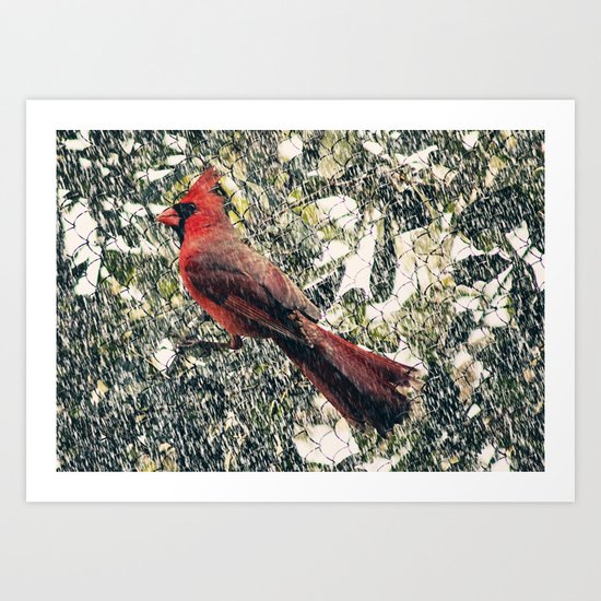 Snow Cardinal Art Print