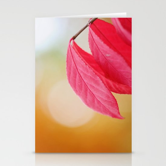 Autumn Glow Stationery Cards