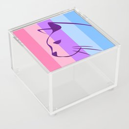Catgender Flag Acrylic Box