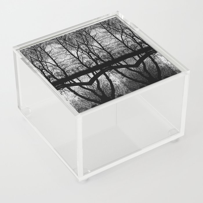 Gothic Trees Acrylic Box