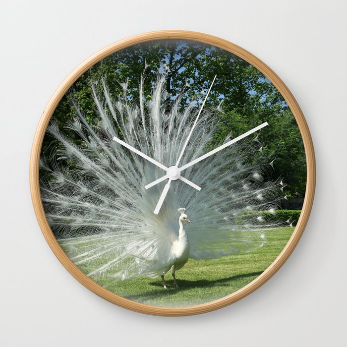 Beautiful White Peacock in Oval Frame Wall Clock