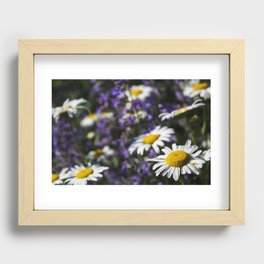 Field of Daisies Recessed Framed Print