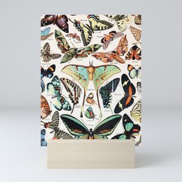 Adolphe Millot - Papillons pour tous - French vintage poster Mini Art Print