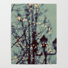 Winter Lights Poster