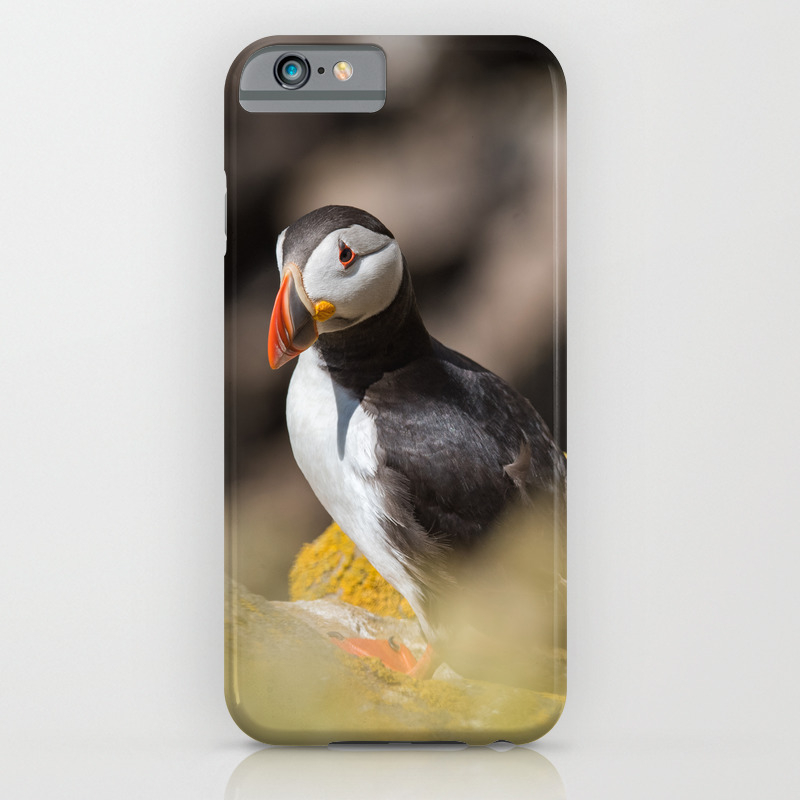iphone 6 case puffin iphone 6 case puffin