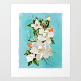 Sweet Magnolia Art Print